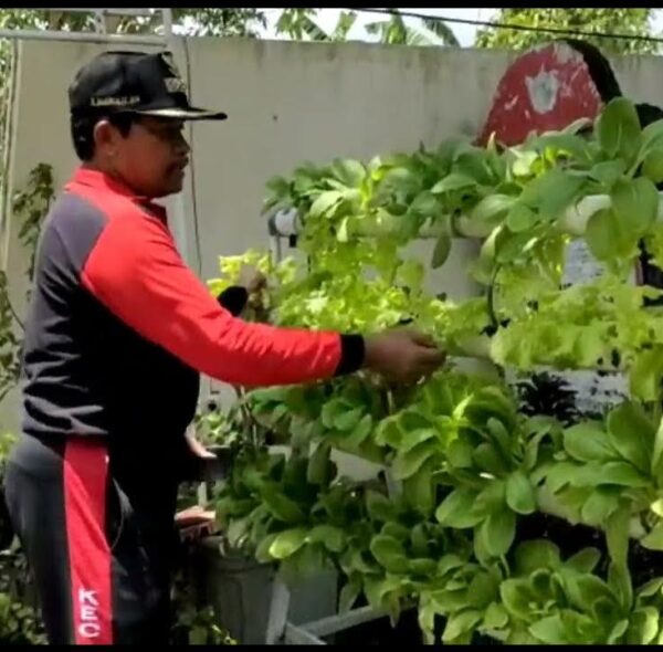Winda Desi Kurniawati Puji Program Urban Farming di Kota Semarang