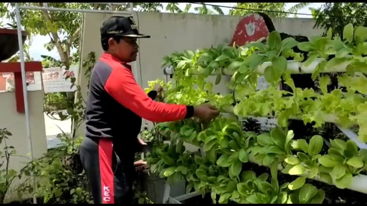 Winda Desi Kurniawati Andi Agung Nugroho